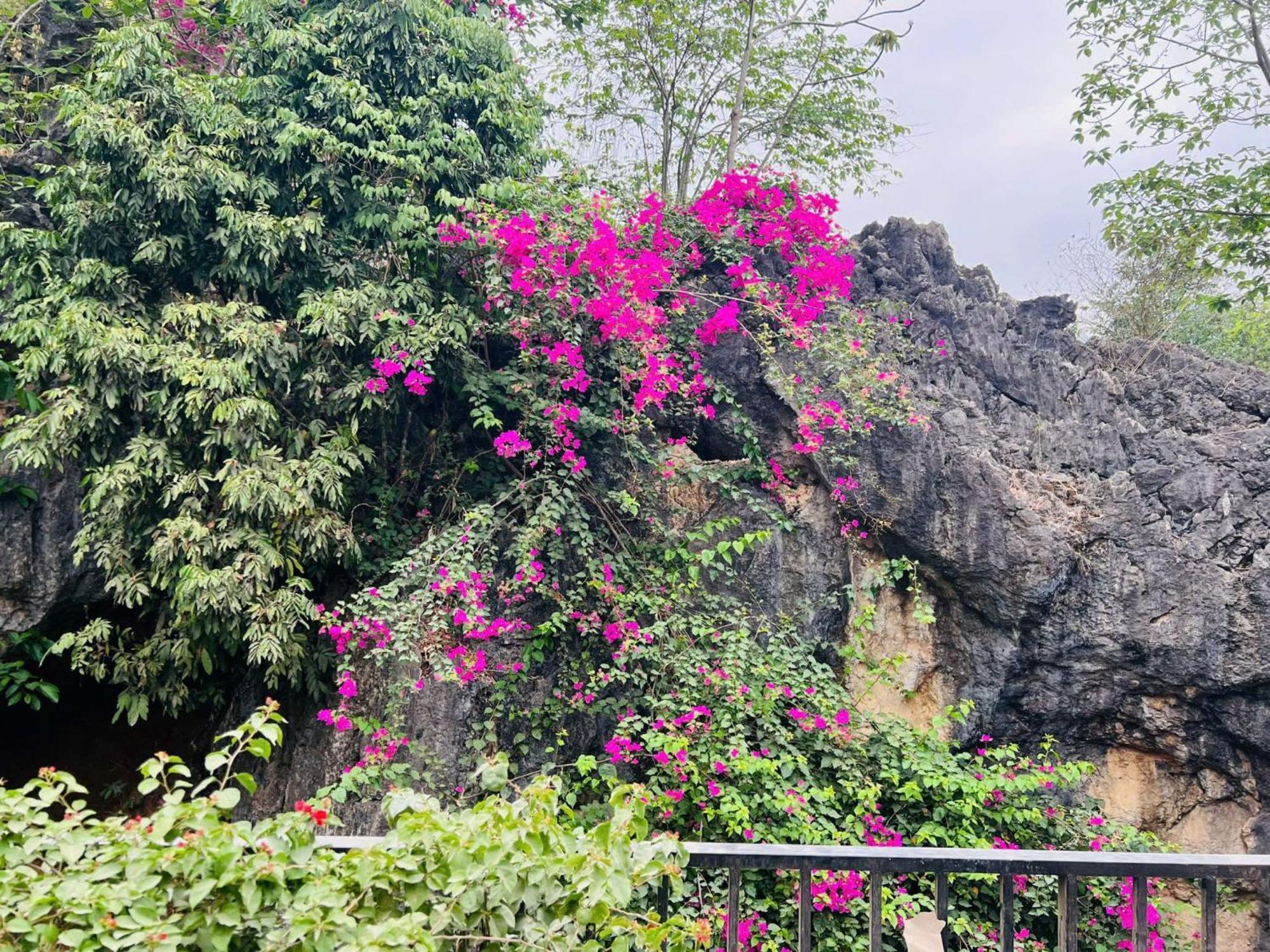 Mai Chau 4 Seasons Bungalow & Hotel Buitenkant foto